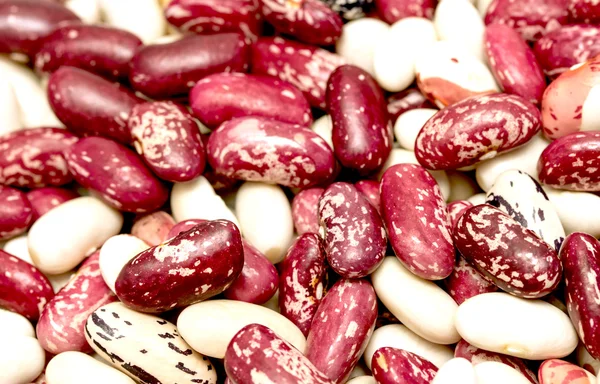 Red speckled beans — Stock Photo, Image