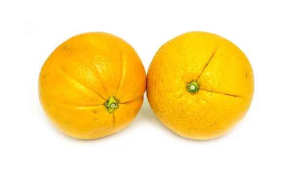 Twee rijpe sinaasappelen — Stockfoto