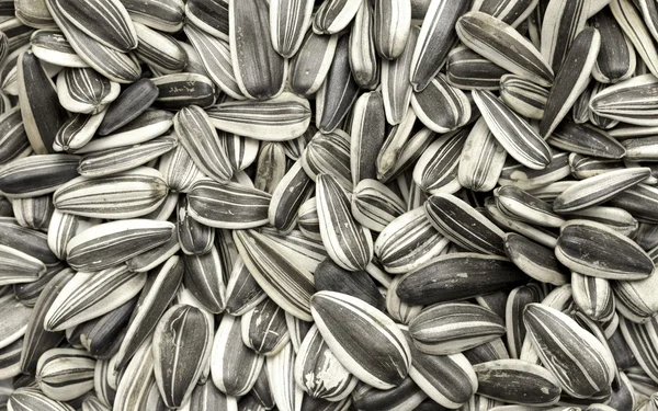 Raw sunflower seeds — Stock Photo, Image