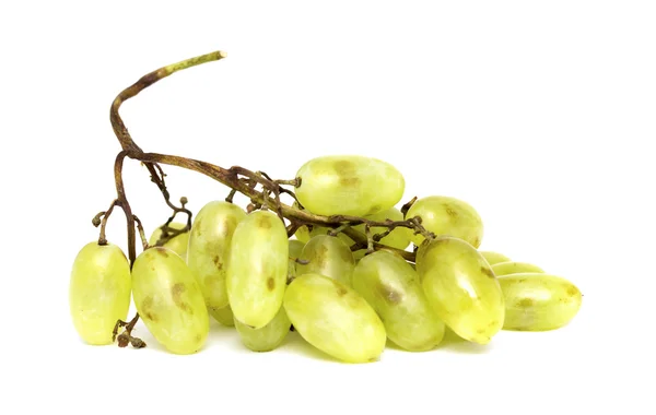 Grappe de raisins musqués blancs — Photo