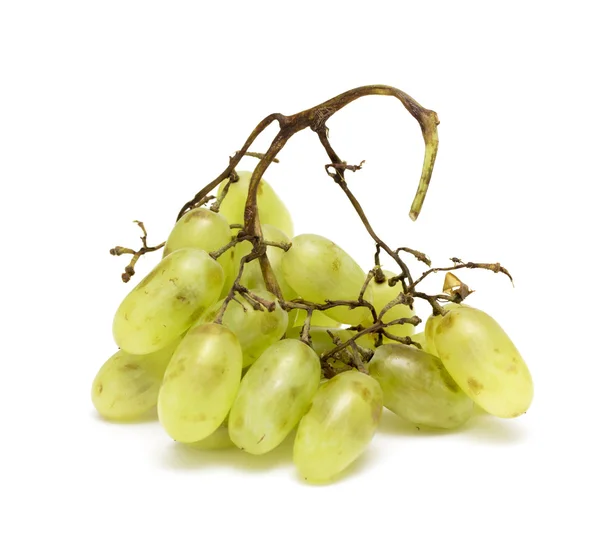 Cluster di Uve Moscato Bianco — Foto Stock
