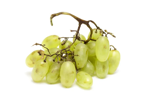 Grappe de raisins musqués blancs — Photo