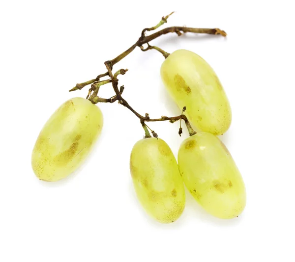 Racimo de uvas moscatel blancas — Foto de Stock