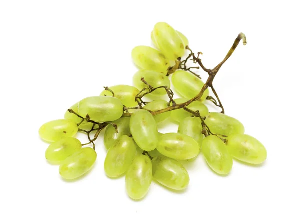 Cluster of White Muscat Grapes — Stock Photo, Image