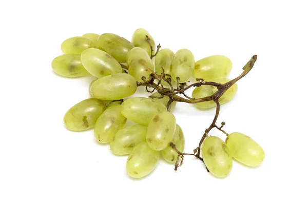 Cluster of White Muscat Grapes — Stock Photo, Image