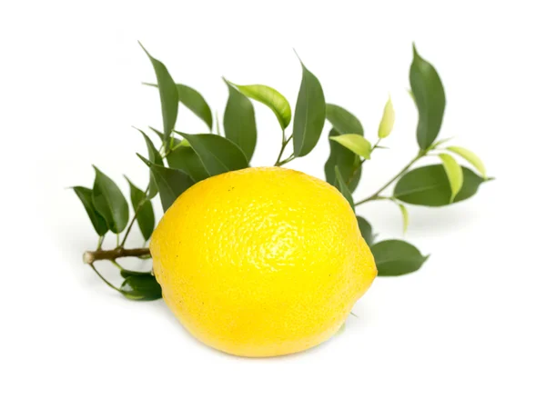 Lemon with leaves — Stock Photo, Image