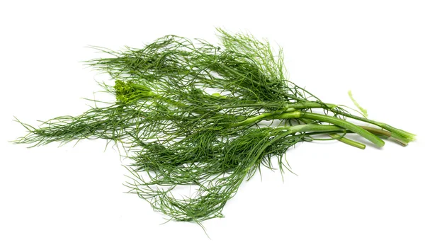 Green leaves of dill — Stock Photo, Image