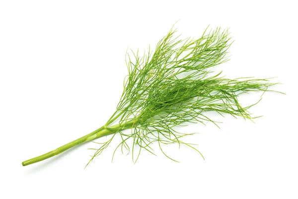 Gröna blad dill — Stockfoto