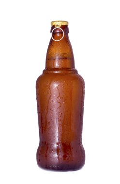 Bir şişe bira.