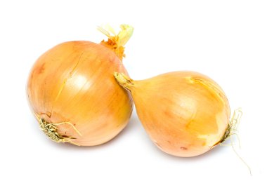 soğan taze soğanı