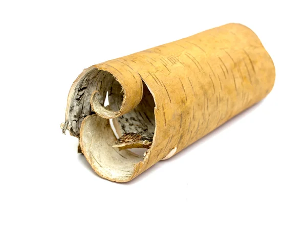 Roll birch's bark — Stock Photo, Image