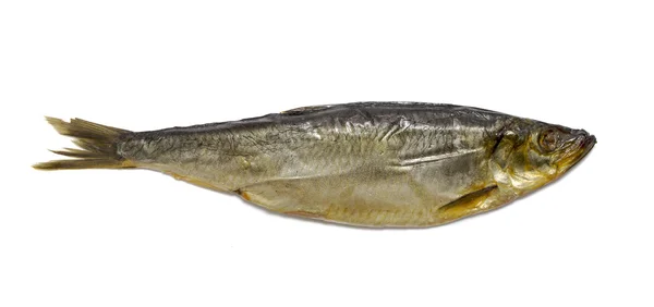 Сельдь, копченая рыба — стоковое фото