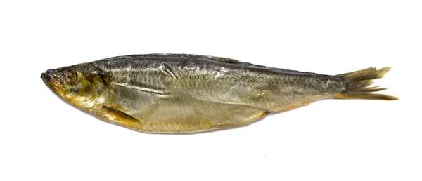 Herring, smoked fish — Stock Photo, Image