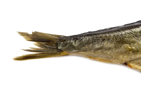 Schwanz geräucherter Fisch — Stockfoto