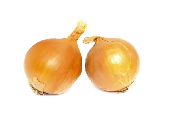 Fresh bulbs of onion — Stock Photo, Image