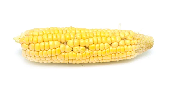 Corn — Stock Photo, Image