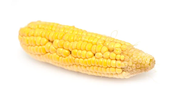 Corn — Stock Photo, Image