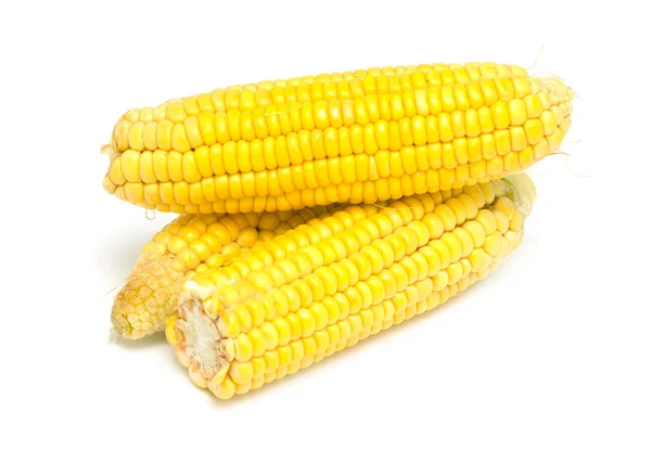 Corn — Stock Photo, Image