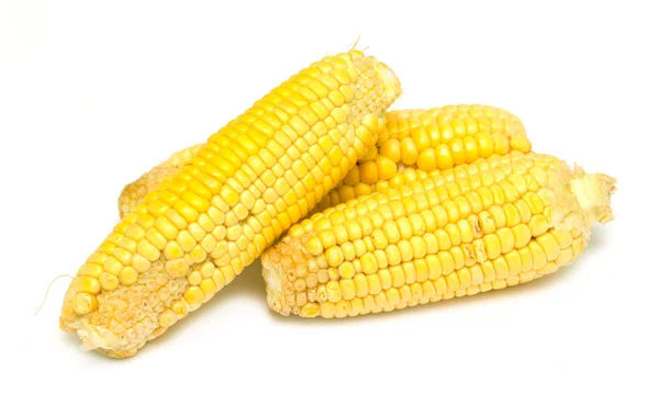 Corn — Stock Photo, Image