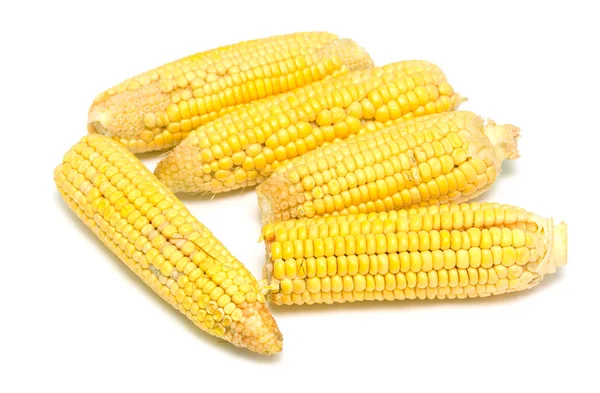 Corn — Stock Photo, Image