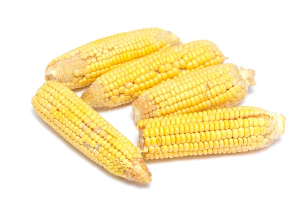 Corn — Stock Photo, Image