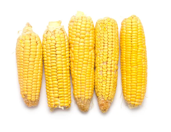 Corn — Stock Photo, Image