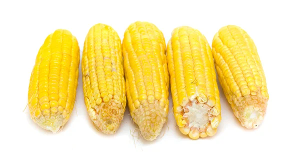 Corn — Stock Photo, Image