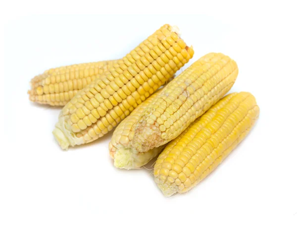 Corn — Stock Photo, Image