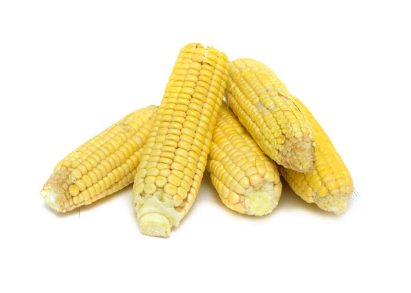 Corn — Stock Photo, Image