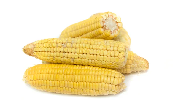 Corn — Stock Photo, Image