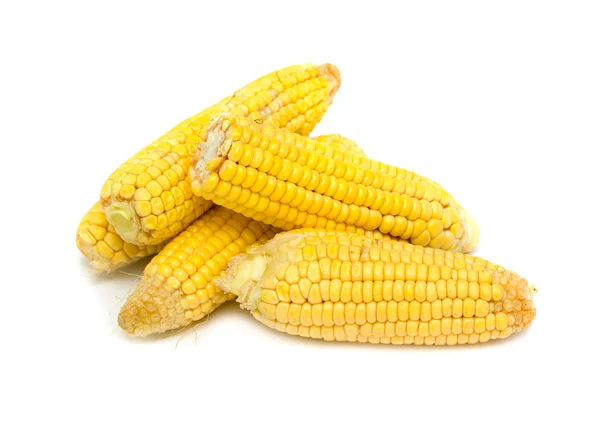 Corn — Stock Photo, Image