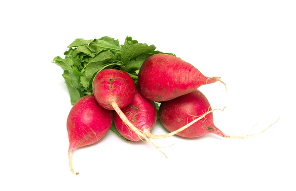 Garden radish — Stock Photo, Image