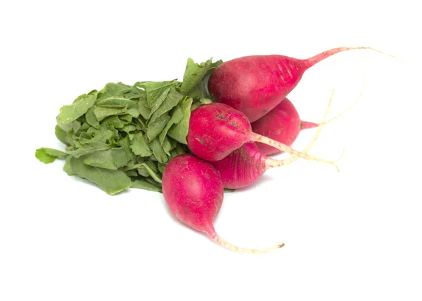 Garden radish — Stock Photo, Image