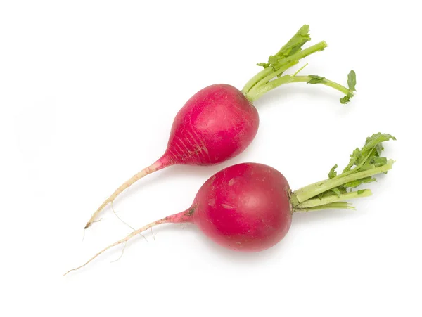 Garden radish — Stock Photo, Image