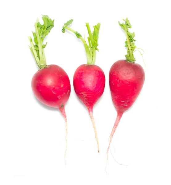 Garden radish — Stock Photo, Image