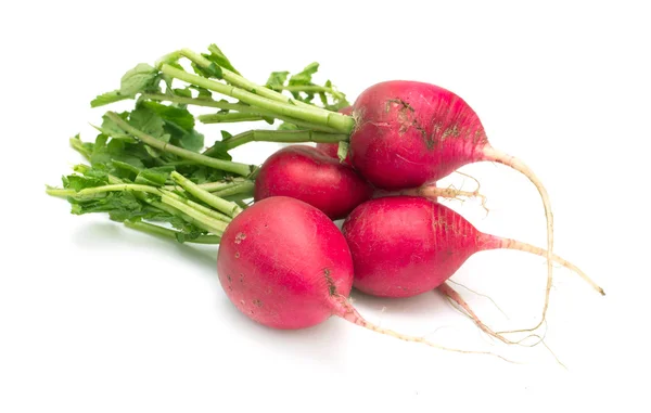 Garden radish — Stock Photo, Image