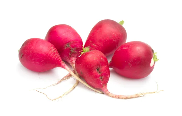 Garden radish — Stock Photo, Image