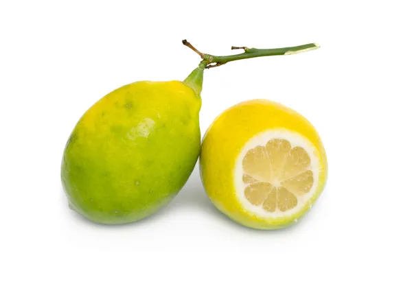 Лимон — стокове фото