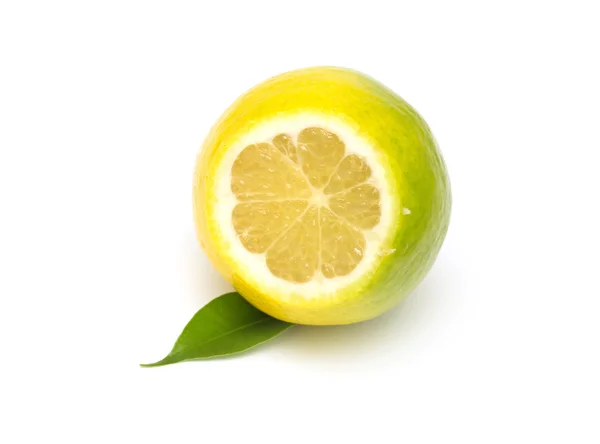 Lemon — Stock Photo, Image