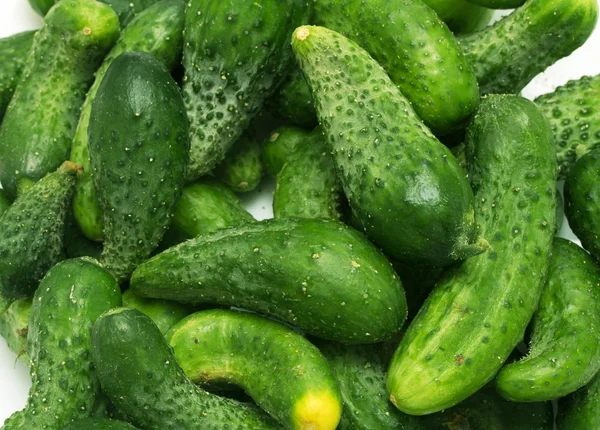 Green cucumber — Stock Photo, Image