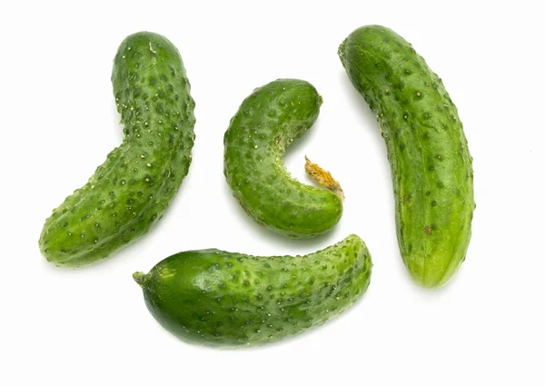 Green cucumber — Stock Photo, Image