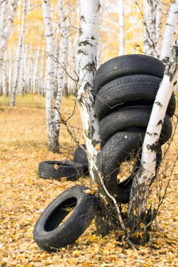 Automobile tyre in forest clipart