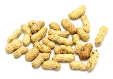 Fıstık