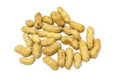 Fıstık