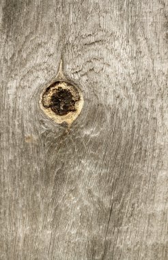 eski ahır ahşap tahta