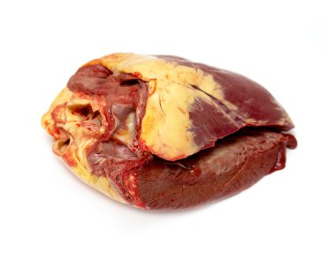 ham kalp
