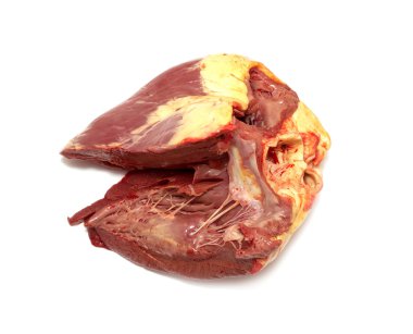 ham kalp