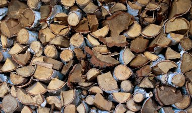 Bir odun yığını.