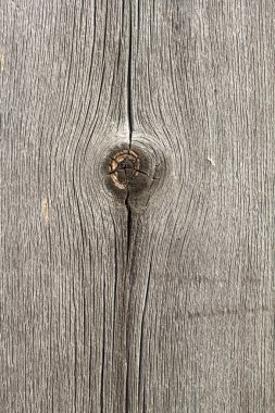 eski grunge ahşap arka plan