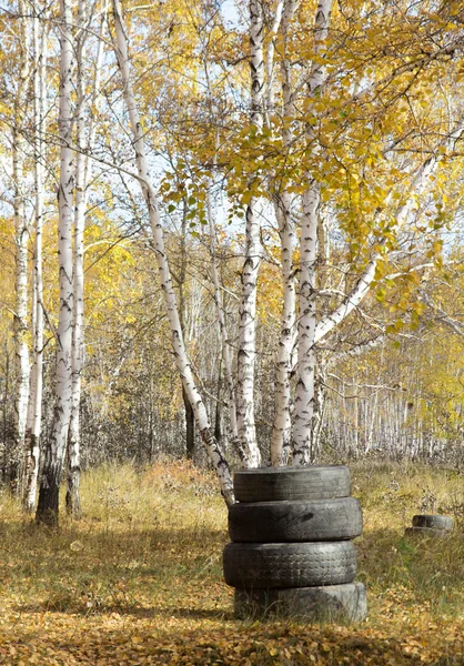 Neumático de automóvil en el bosque — Foto de Stock
